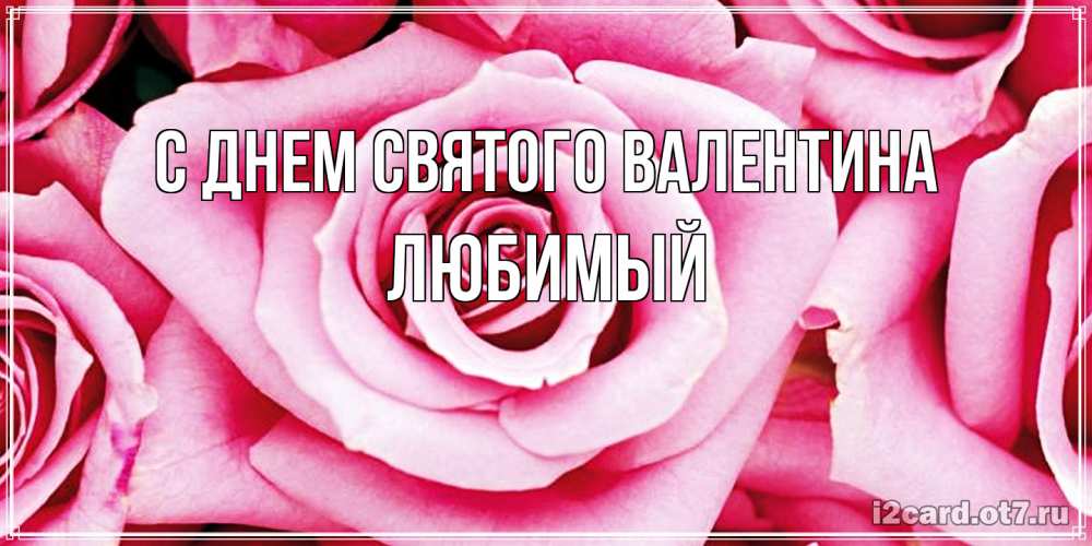 Открытка на каждый день с именем, Любимый С днем Святого Валентина роза розовая на день Святого Валентина Прикольная открытка с пожеланием онлайн скачать бесплатно 