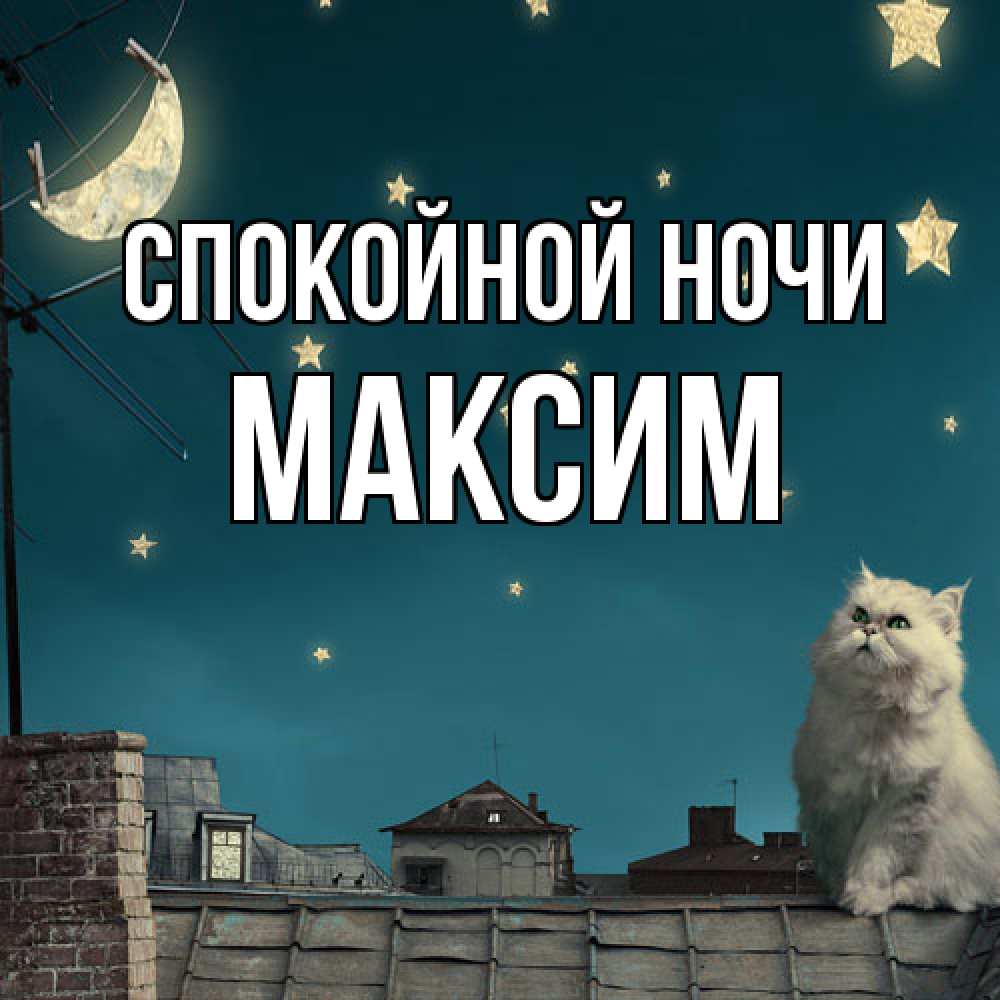 Открытка на каждый день с именем, Максим Спокойной ночи белый кот сидит на крыше Прикольная открытка с пожеланием онлайн скачать бесплатно 