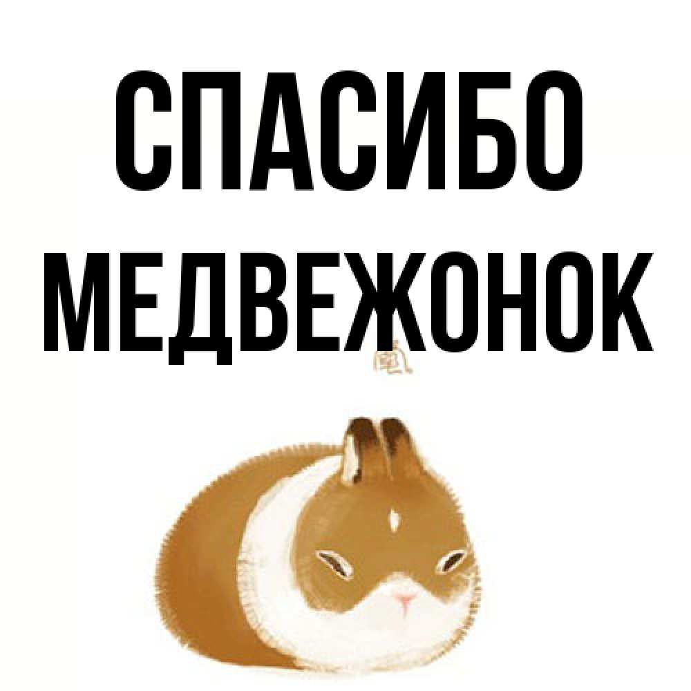 Открытка на каждый день с именем, медвежонок Спасибо коричнево белый домашний питомец Прикольная открытка с пожеланием онлайн скачать бесплатно 