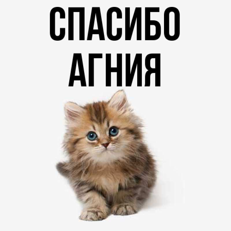 Картинка Спасибо, Агния