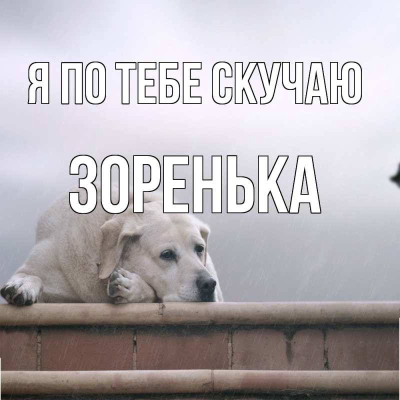 Картинка Я по тебе скучаю, Зоренька