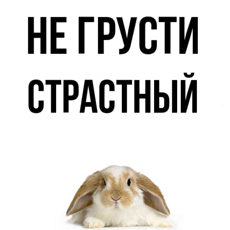 Картинка Не грусти, Страстный