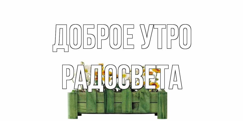 Открытка на каждый день с именем, Радосвета Доброе утро цветы Прикольная открытка с пожеланием онлайн скачать бесплатно 