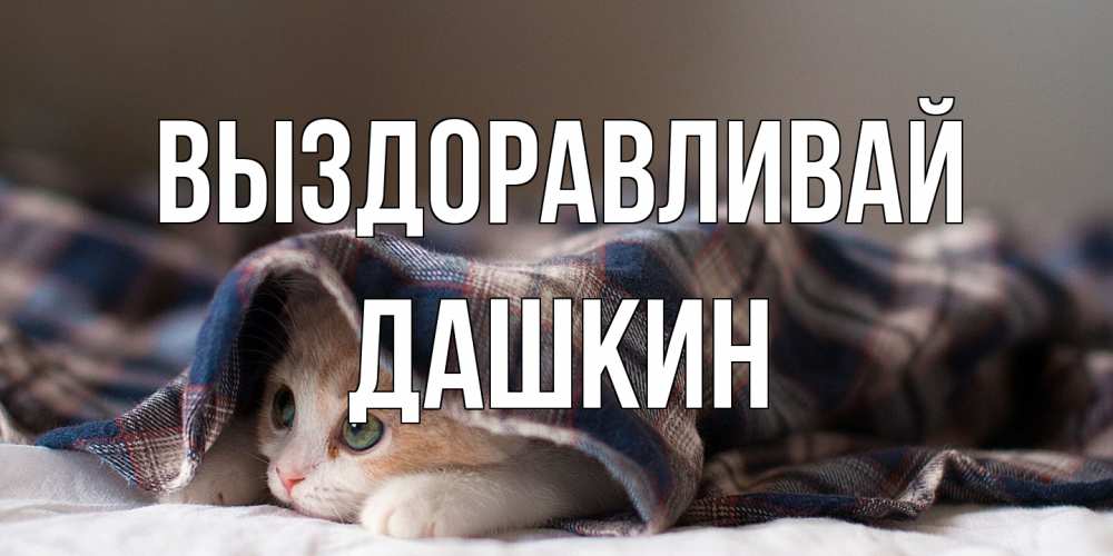 Открытка на каждый день с именем, Дашкин Выздоравливай не болейте с котиком Прикольная открытка с пожеланием онлайн скачать бесплатно 