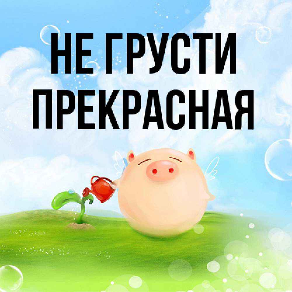 Открытка на каждый день с именем, Пpекpасная Не грусти поливает цветок порося Прикольная открытка с пожеланием онлайн скачать бесплатно 