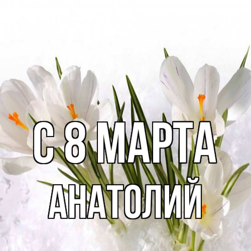 Картинка C 8 МАРТА, Анатолий
