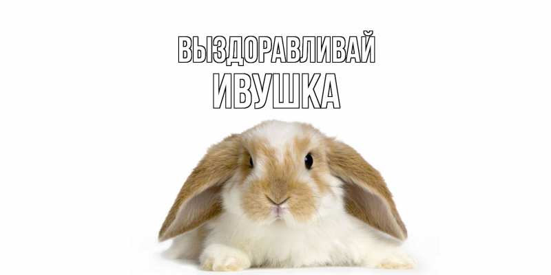 Картинка Выздоравливай, Ивушка