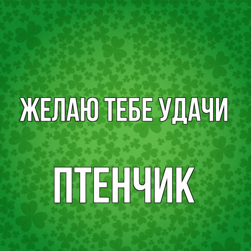 Картинка Желаю тебе удачи, Птенчик