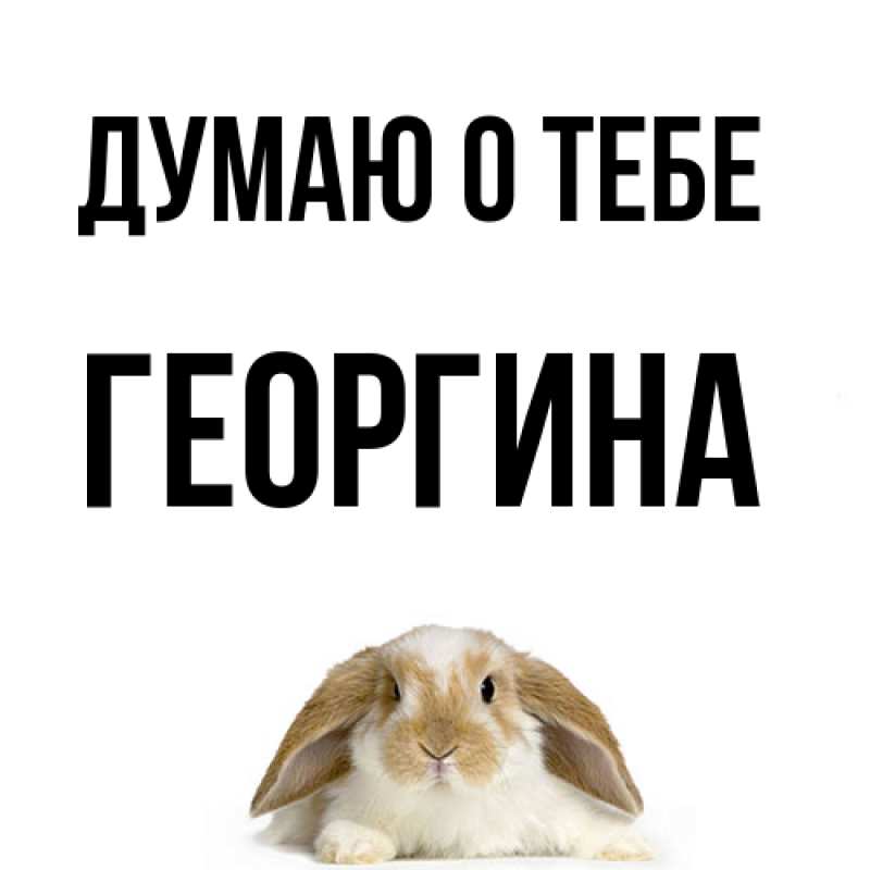 Картинка Думаю о тебе, Георгина