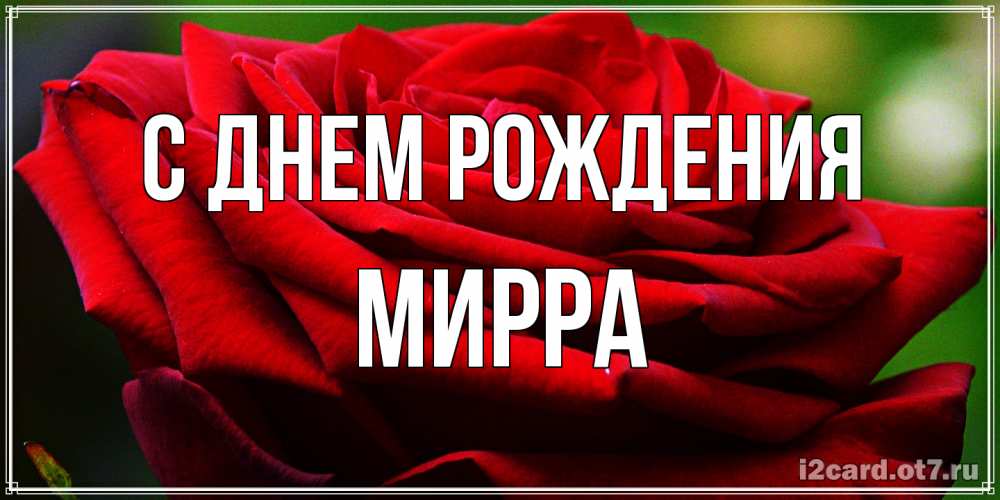 Открытка на каждый день с именем, Мирра С днем рождения розочка очень красивая Прикольная открытка с пожеланием онлайн скачать бесплатно 