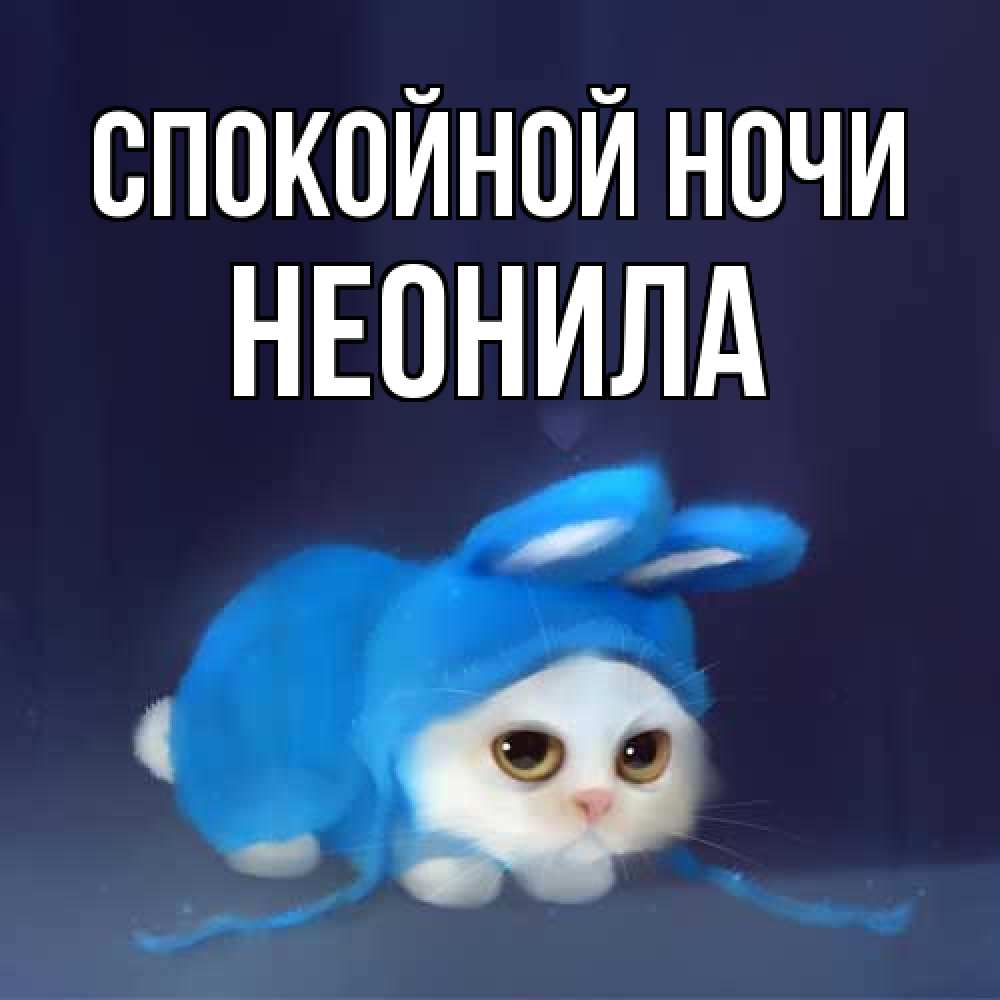 Открытка на каждый день с именем, Неонила Спокойной ночи кот в голубом костюме кролика с ушками Прикольная открытка с пожеланием онлайн скачать бесплатно 