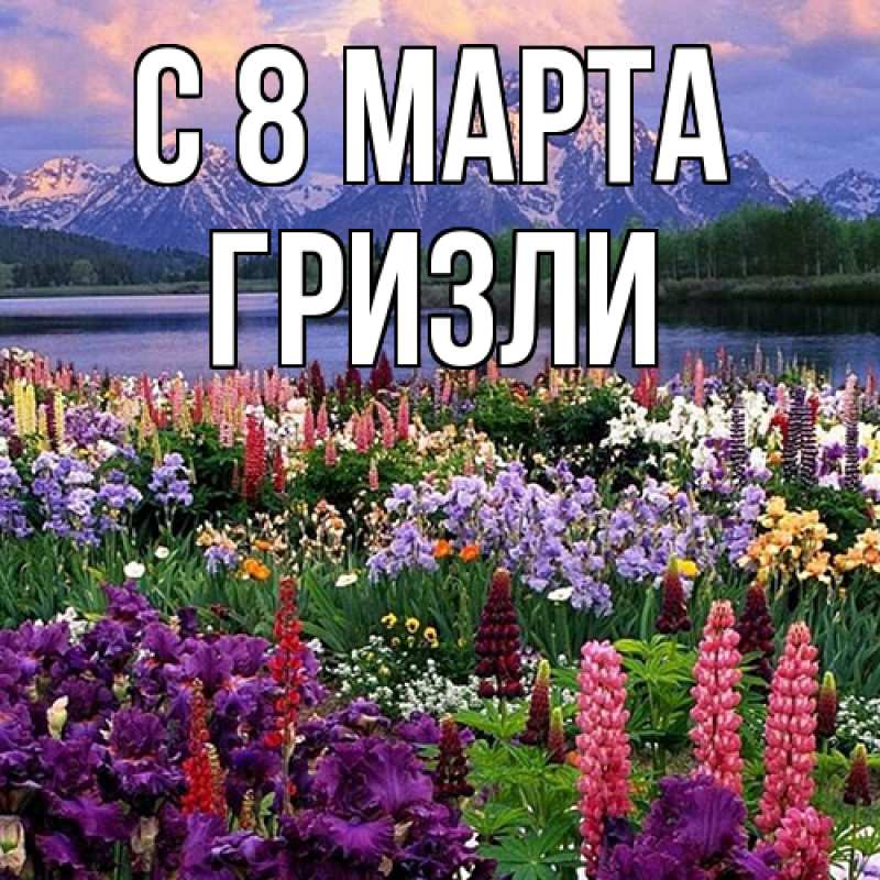 Картинка C 8 МАРТА, Гризли