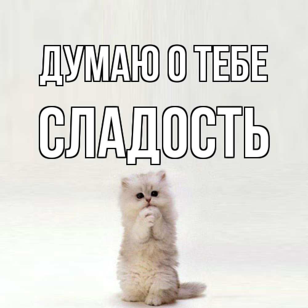 Открытка на каждый день с именем, Сладость Думаю о тебе кот стоит на задних лапах Прикольная открытка с пожеланием онлайн скачать бесплатно 