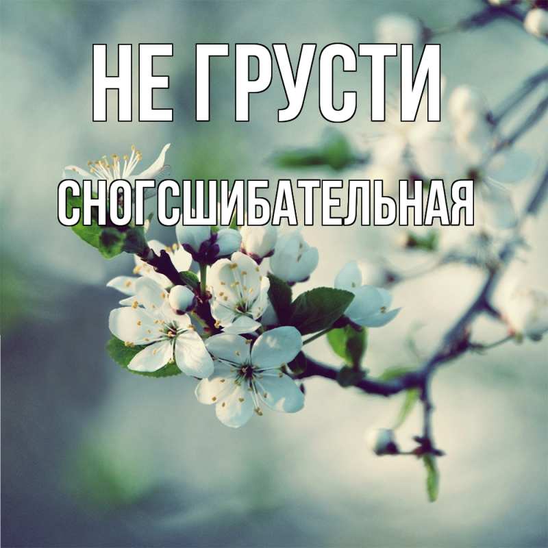 Картинка Не грусти, сногсшибательная
