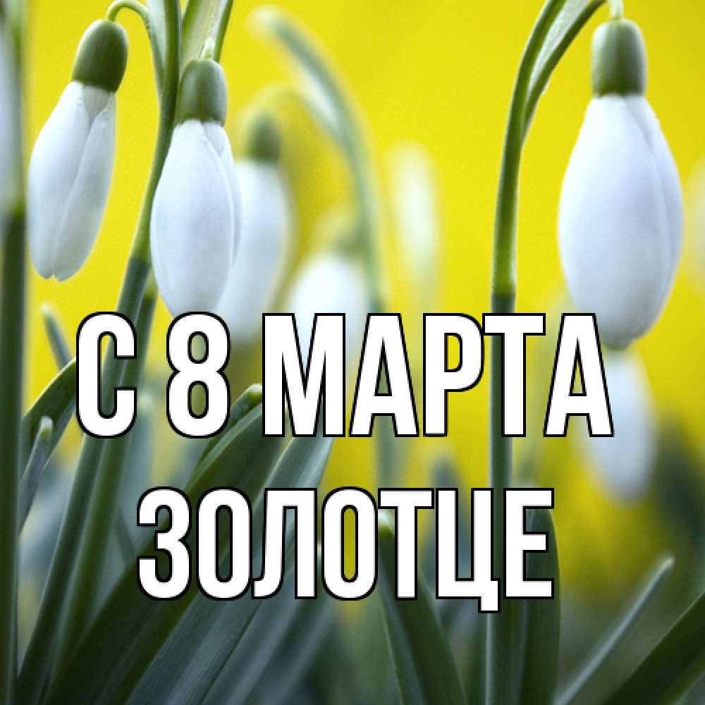 Открытка на каждый день с именем, Золотце C 8 МАРТА весенние цветы Прикольная открытка с пожеланием онлайн скачать бесплатно 