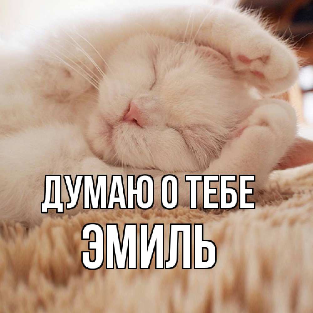 Открытка на каждый день с именем, Эмиль Думаю о тебе для любимой девушки милота Прикольная открытка с пожеланием онлайн скачать бесплатно 