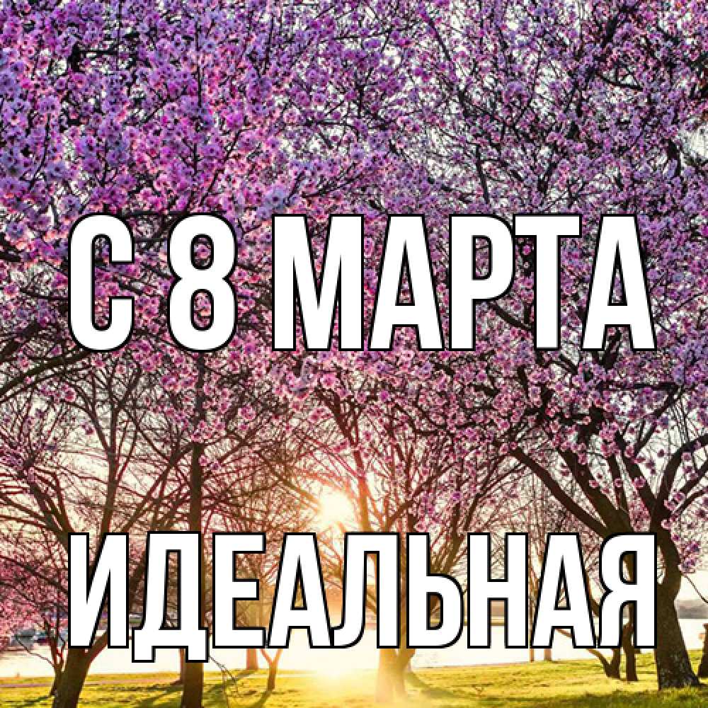 Открытка на каждый день с именем, идеальная C 8 МАРТА международный женский день Прикольная открытка с пожеланием онлайн скачать бесплатно 