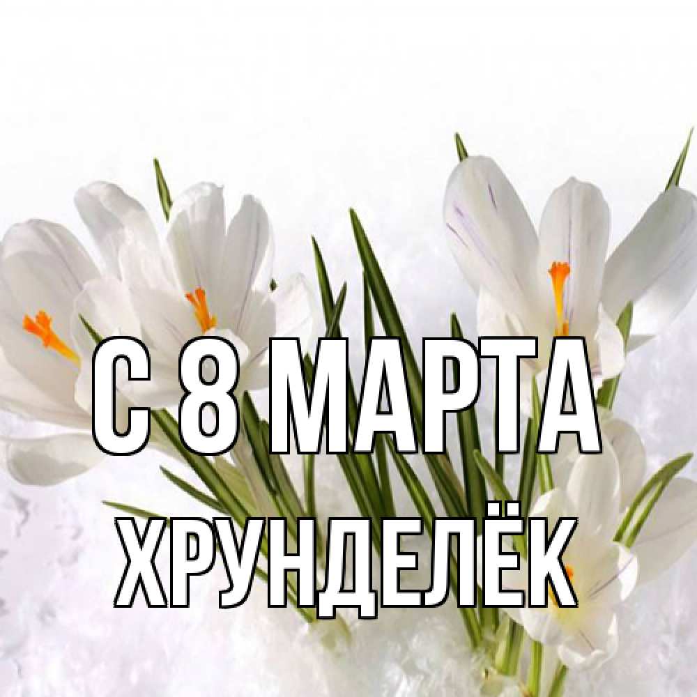 Открытка на каждый день с именем, Хрунделёк C 8 МАРТА под снегом Прикольная открытка с пожеланием онлайн скачать бесплатно 