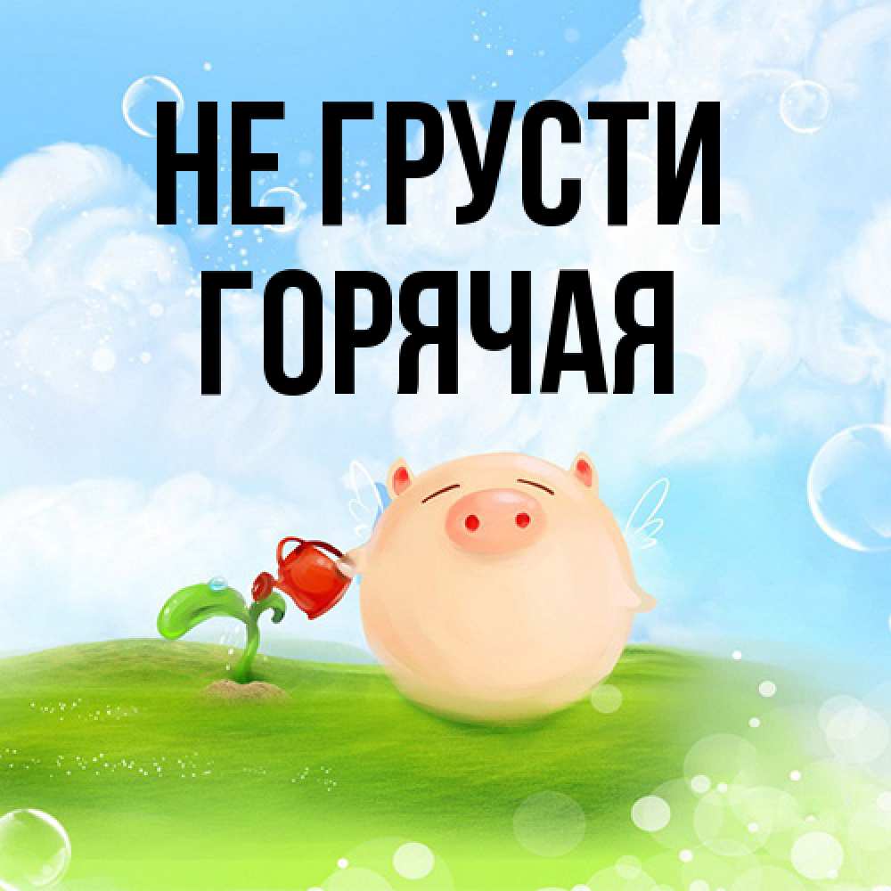 Открытка на каждый день с именем, горячая Не грусти поливает цветок порося Прикольная открытка с пожеланием онлайн скачать бесплатно 