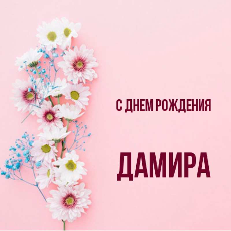 Картинка С днем рождения, Дамира