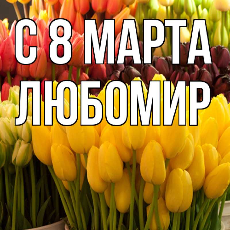 Картинка C 8 МАРТА, Любомир