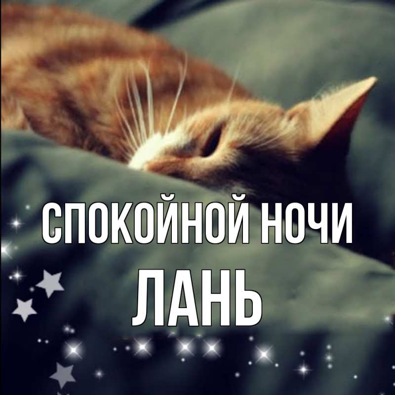 Картинка Спокойной ночи, лань