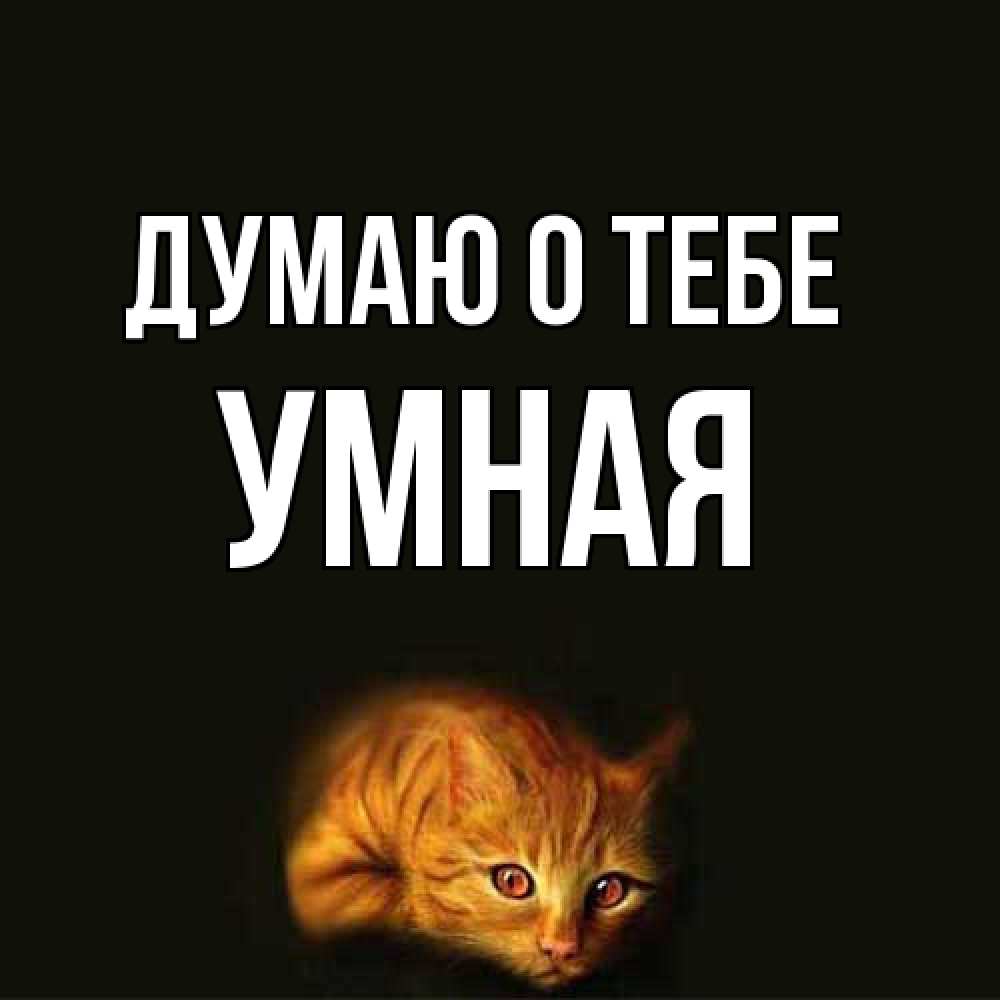 Открытка на каждый день с именем, Умная Думаю о тебе рыжий Прикольная открытка с пожеланием онлайн скачать бесплатно 