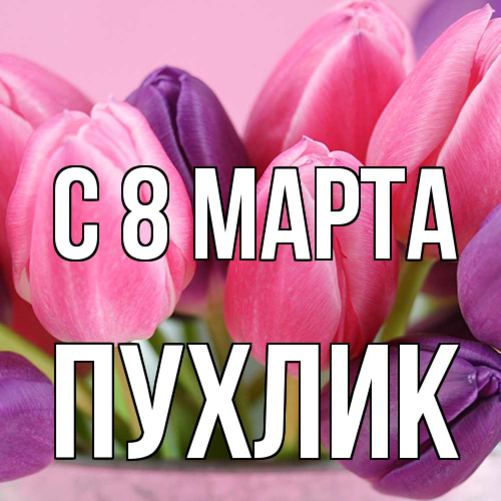 Открытка на каждый день с именем, пухлик C 8 МАРТА маме 1 Прикольная открытка с пожеланием онлайн скачать бесплатно 