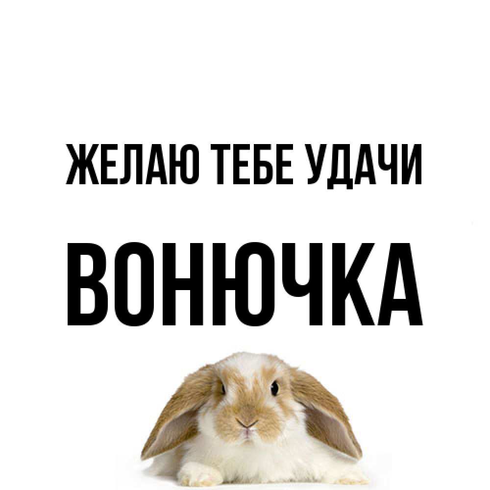 Открытка на каждый день с именем, Вонючка Желаю тебе удачи открытки с произвольным текстом который можно вставить в открытку и создать ее самостоятельно бесплатно онлайн Прикольная открытка с пожеланием онлайн скачать бесплатно 