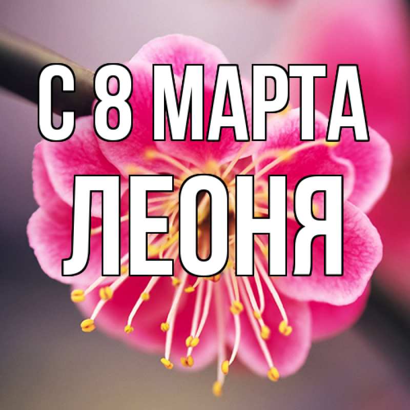 Картинка C 8 МАРТА, Леоня