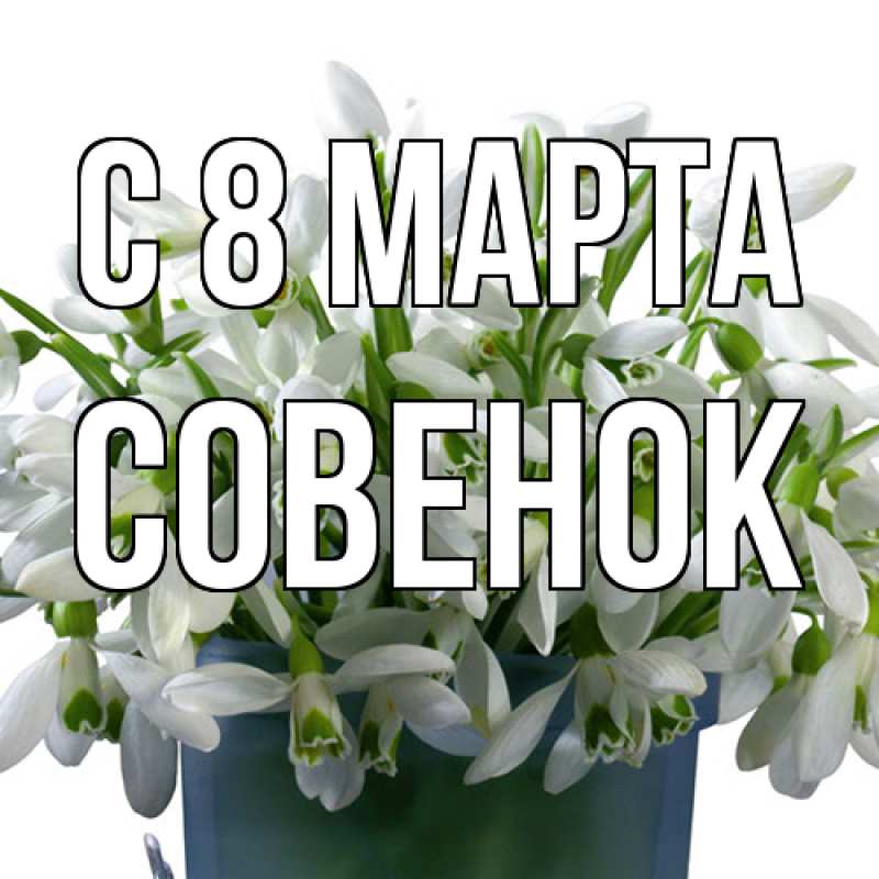 Картинка C 8 МАРТА, совенок