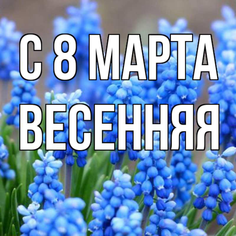 Картинка C 8 МАРТА, Весенняя