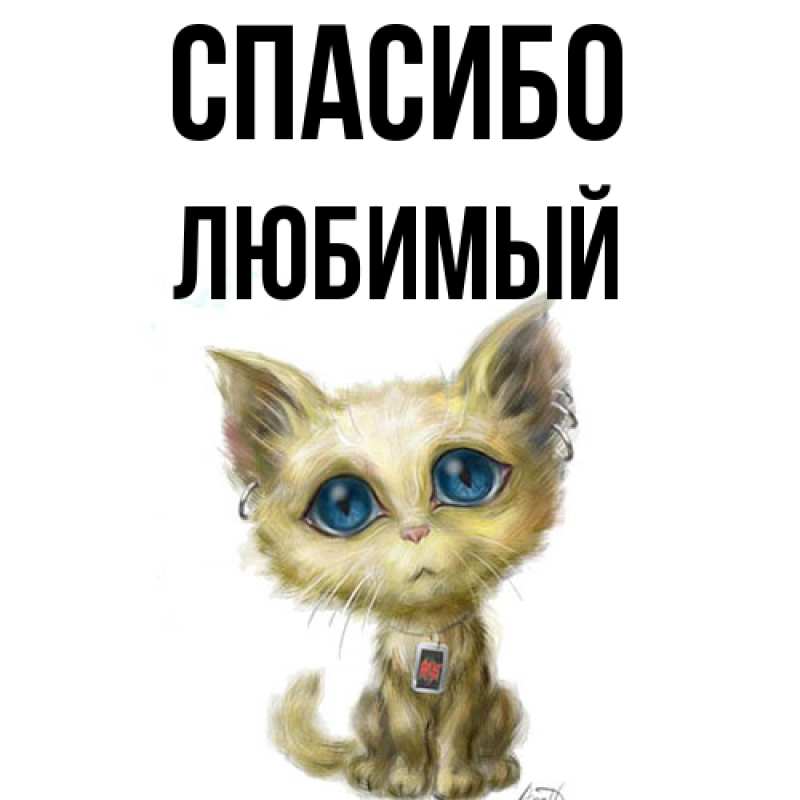 Картинка Спасибо, Любимый