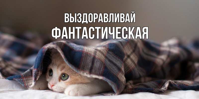 Картинка Выздоравливай, Фантастическая