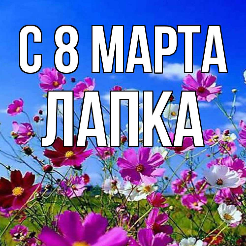 Открытка на каждый день с именем, лапка C 8 МАРТА цветы Прикольная открытка с пожеланием онлайн скачать бесплатно 