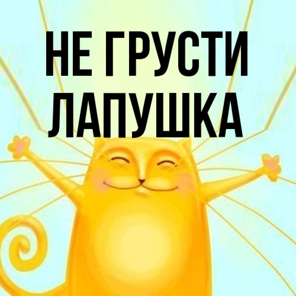 Открытка на каждый день с именем, лапушка Не грусти обнимашки усатые Прикольная открытка с пожеланием онлайн скачать бесплатно 
