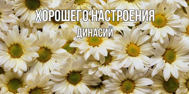 Картинка Хорошего настроения, Динасий