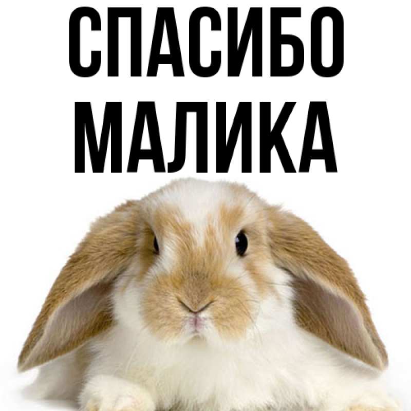 Картинка Спасибо, Малика