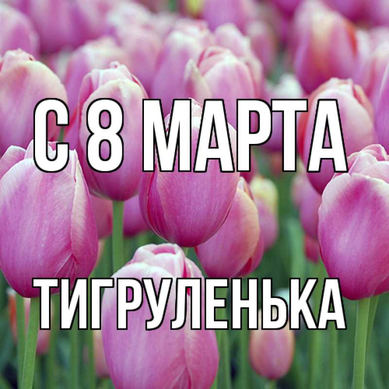 Картинка C 8 МАРТА, Тигpуленька