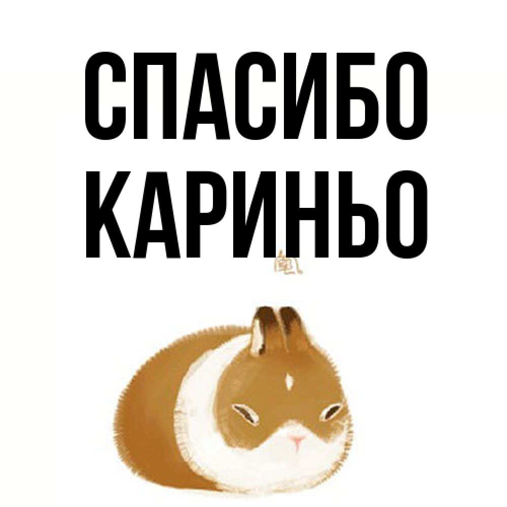 Открытка на каждый день с именем, Кариньо Спасибо коричнево белый домашний питомец Прикольная открытка с пожеланием онлайн скачать бесплатно 