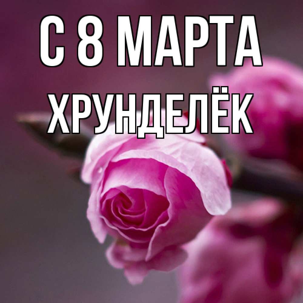 Открытка на каждый день с именем, Хрунделёк C 8 МАРТА весна Прикольная открытка с пожеланием онлайн скачать бесплатно 
