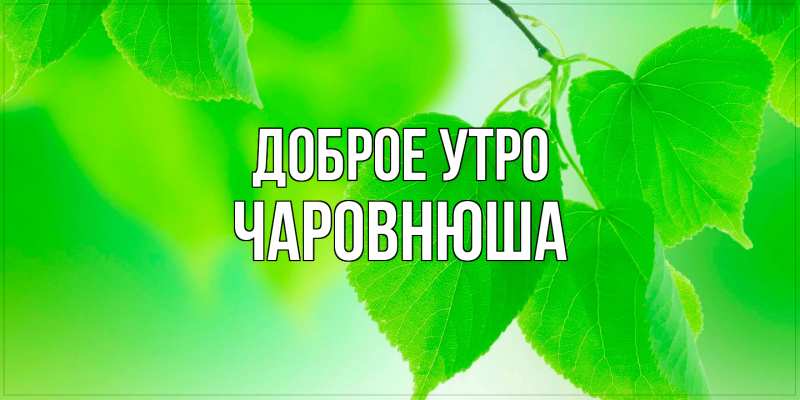 Картинка Доброе утро, Чаpовнюша