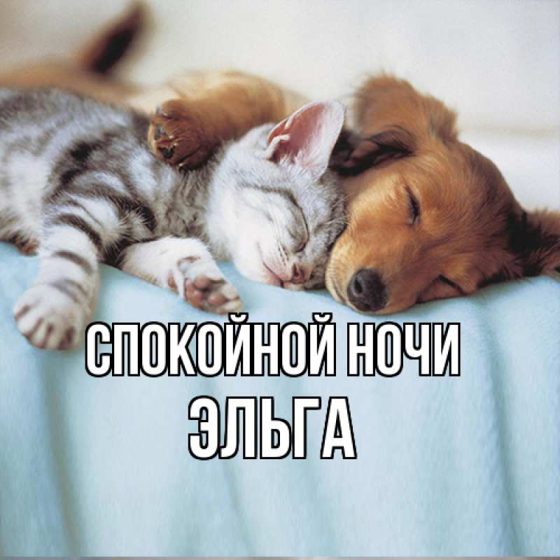 Картинка Спокойной ночи, Эльга