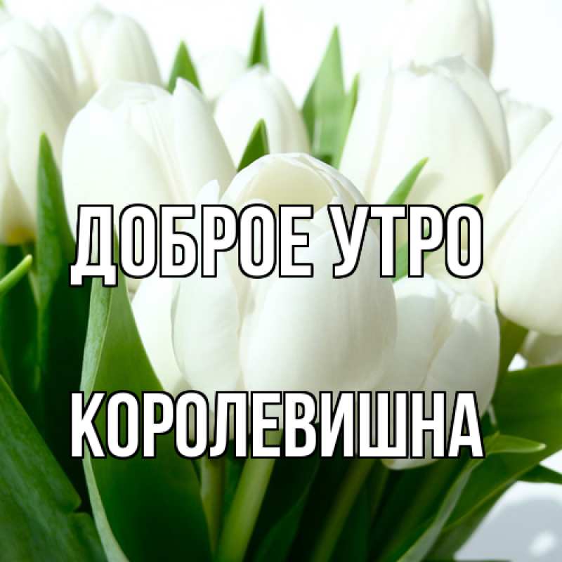 Картинка Доброе утро, Королевишна