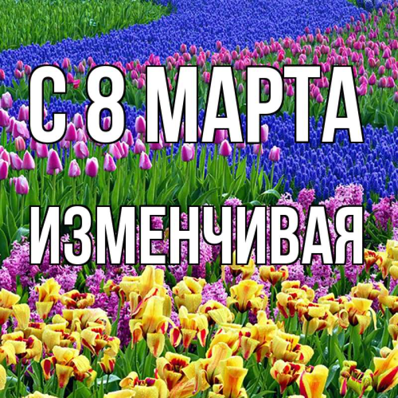 Картинка C 8 МАРТА, изменчивая