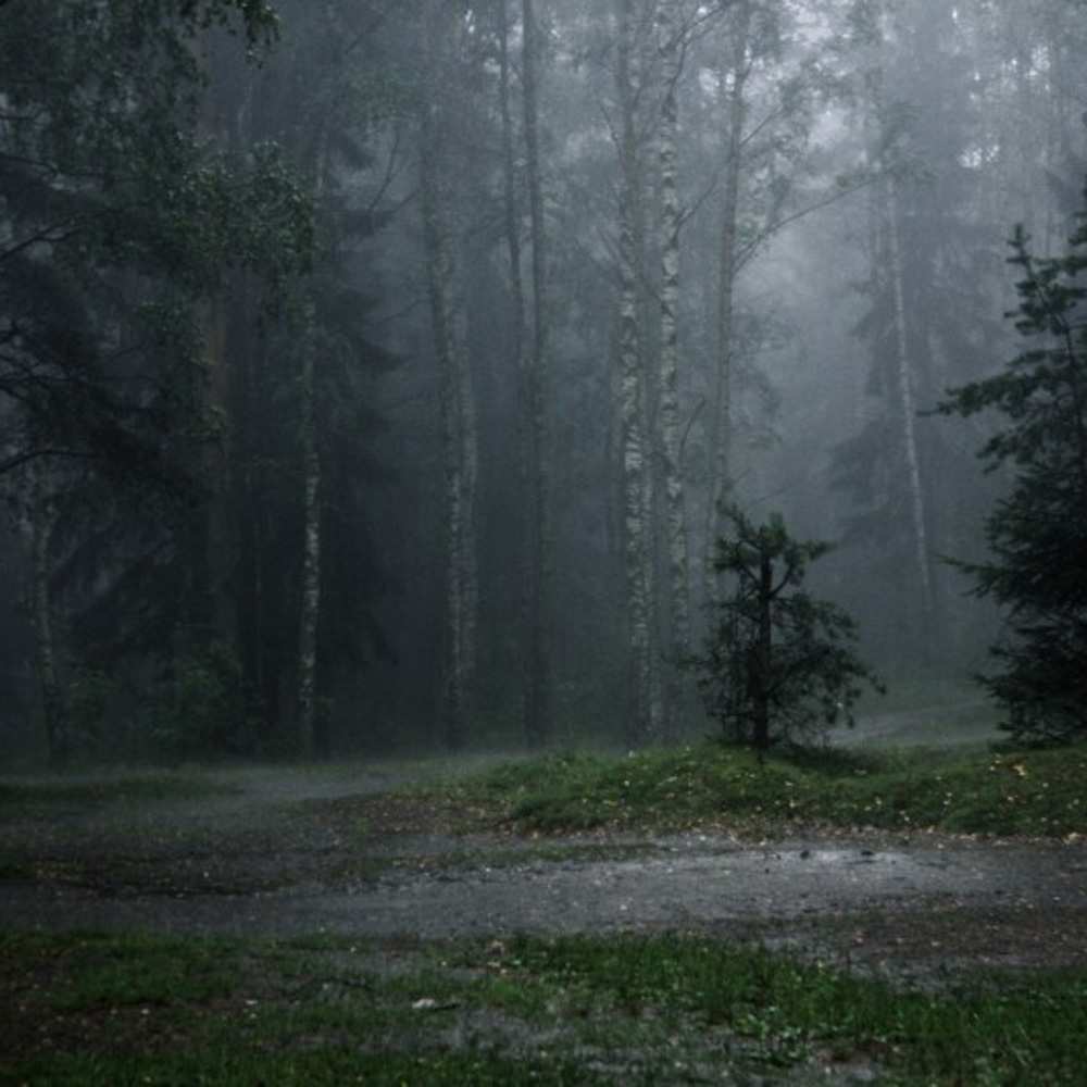 Открытка на каждый день с именем, Потап Я по тебе скучаю одна и плохо мне Прикольная открытка с пожеланием онлайн скачать бесплатно 