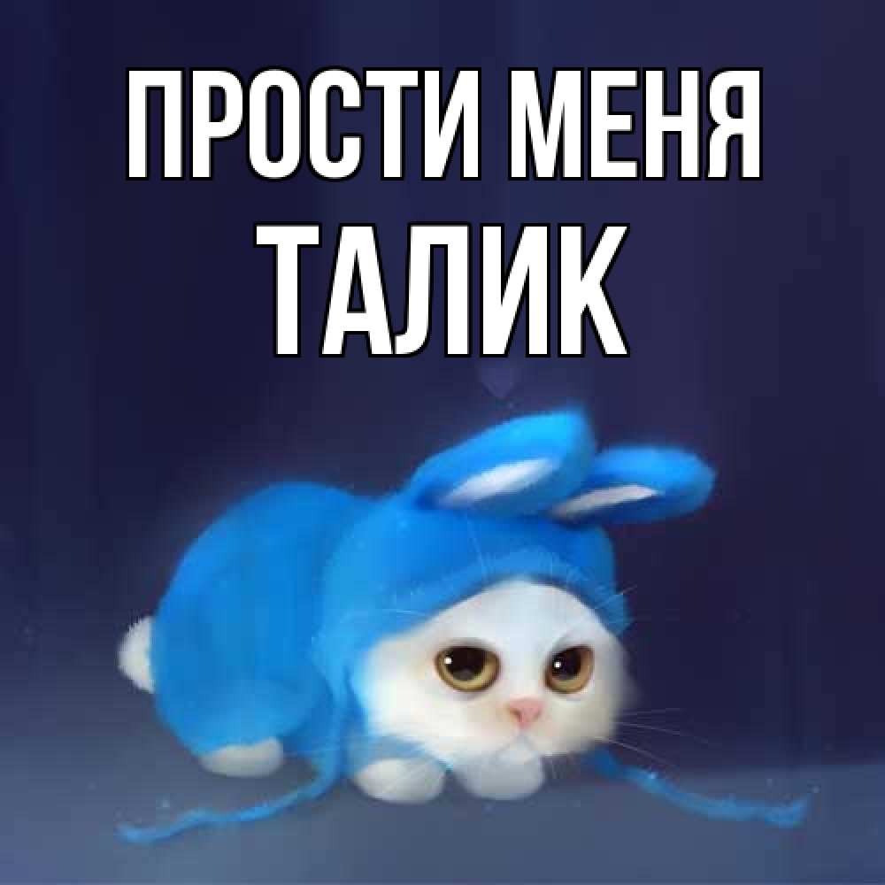 Открытка на каждый день с именем, Талик Прости меня невинный котозай просит прощения Прикольная открытка с пожеланием онлайн скачать бесплатно 
