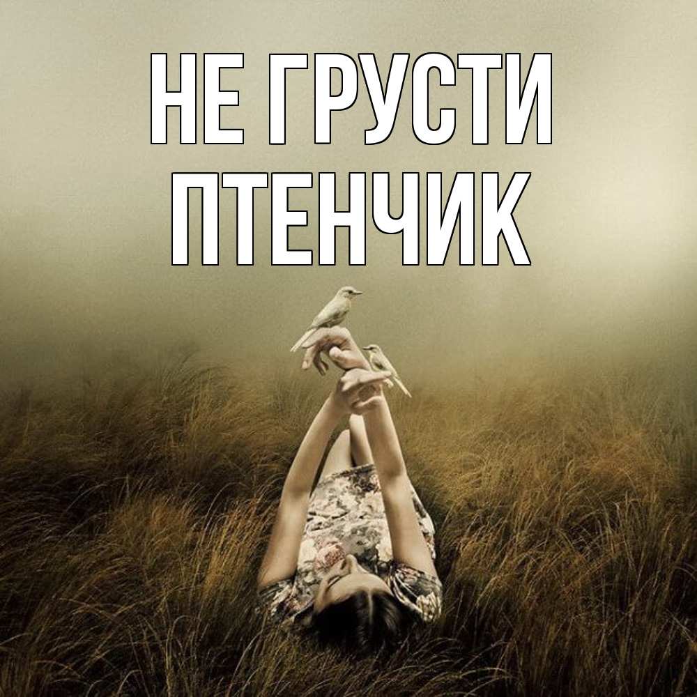 Открытка на каждый день с именем, Птенчик Не грусти поле и туман Прикольная открытка с пожеланием онлайн скачать бесплатно 