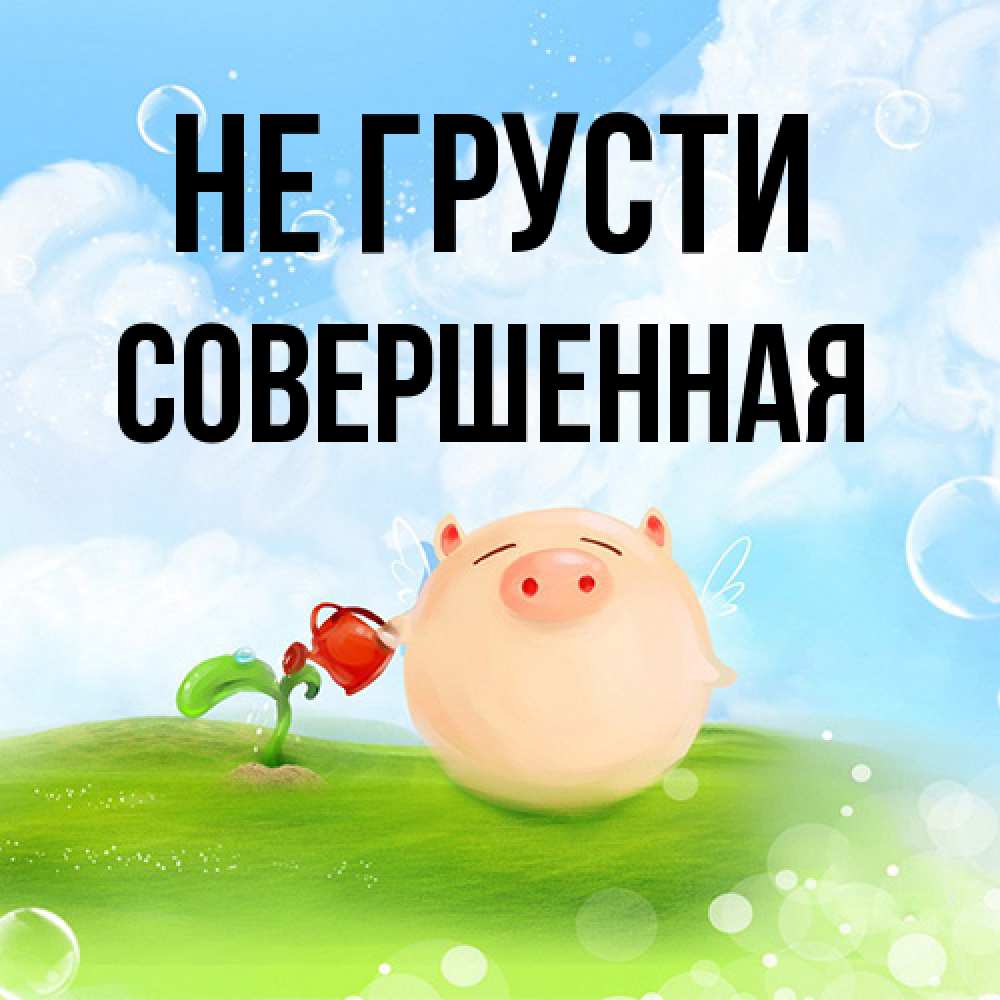 Открытка на каждый день с именем, Совершенная Не грусти поливает цветок порося Прикольная открытка с пожеланием онлайн скачать бесплатно 