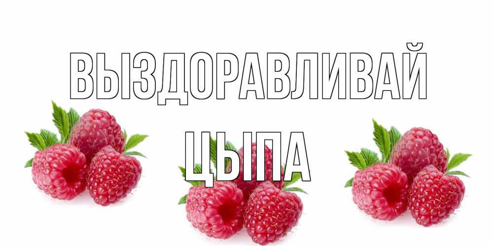 Открытка на каждый день с именем, Цыпа Выздоравливай малиновая открыта с пожеланием о выздоровлении Прикольная открытка с пожеланием онлайн скачать бесплатно 